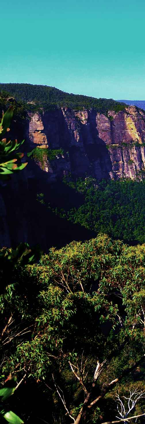 A micro-glimpse of a sharp and clear mountain scene.